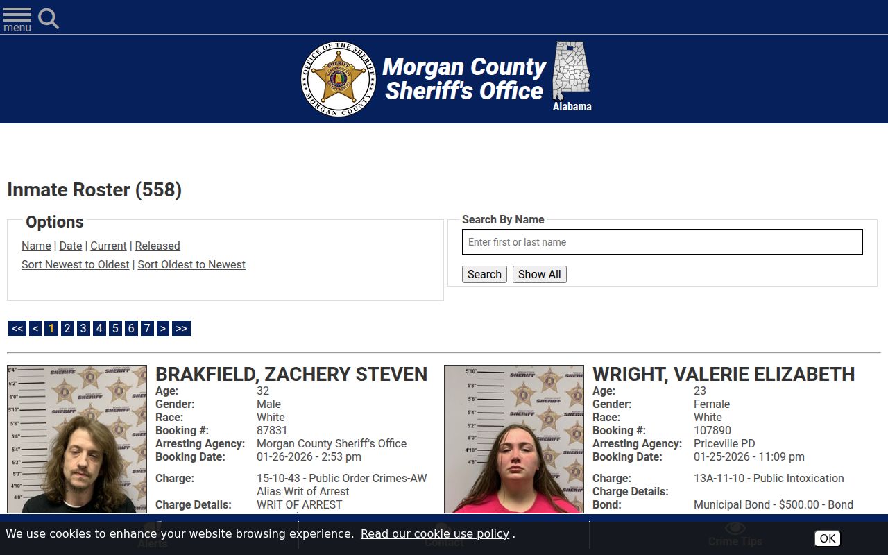 Morgan County Sheriff jail roster page showing Decatur inmate search options
