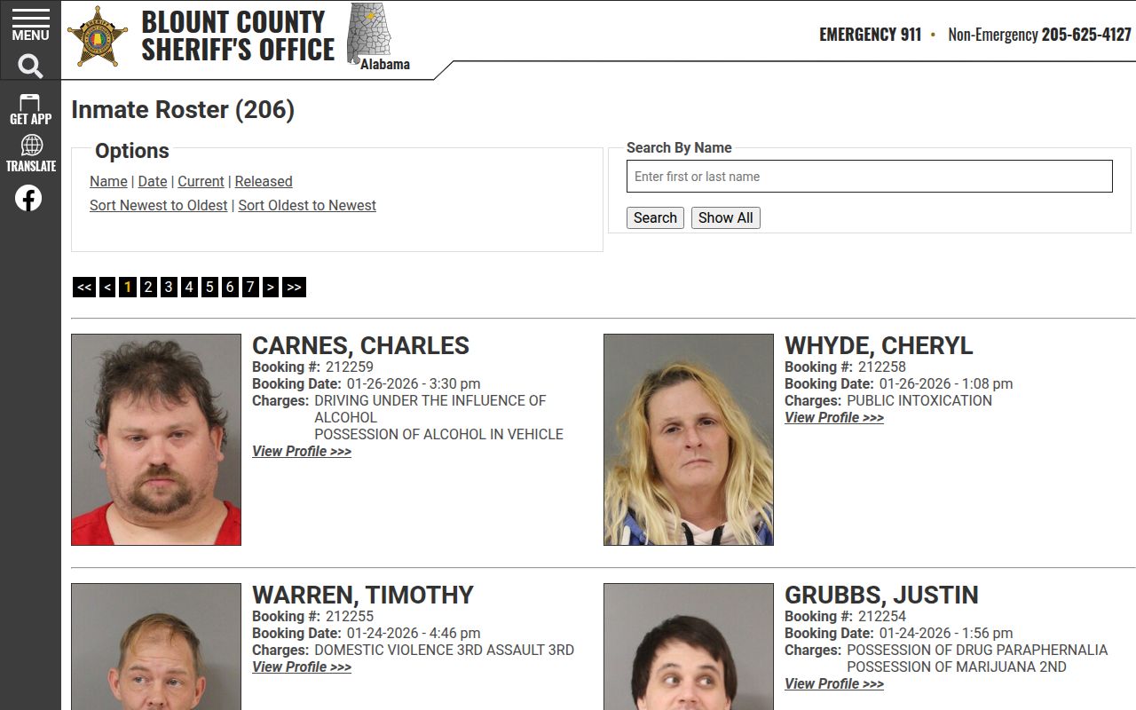 Blount County Sheriff jail roster showing current inmates in detention